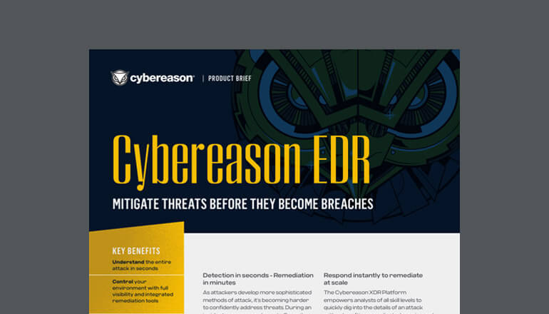 Article Cybereason EDR: Mitigate Threats Before They Become Breaches Image