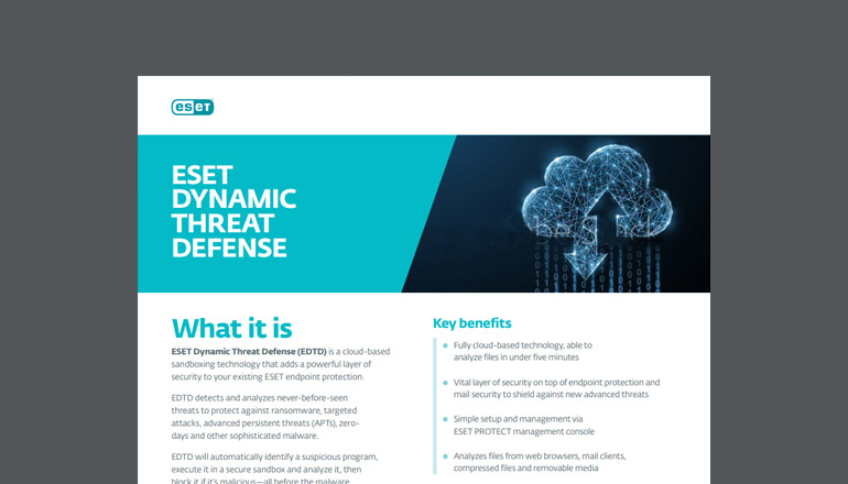 Article Dynamic Threat Defense  Image