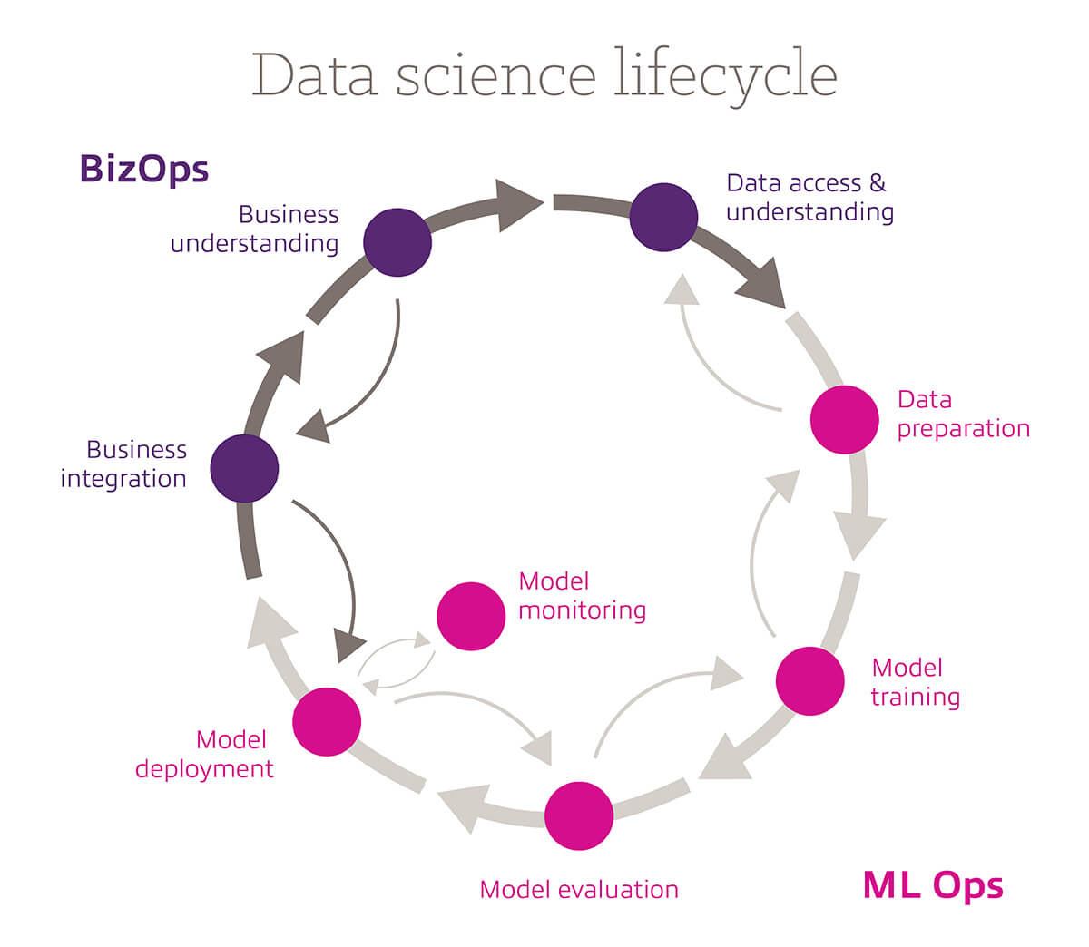 Data science lifecycle