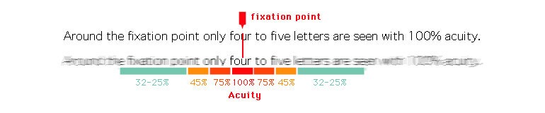 Fixation point found in the middle - showing focus clear while the surroundings are blurry