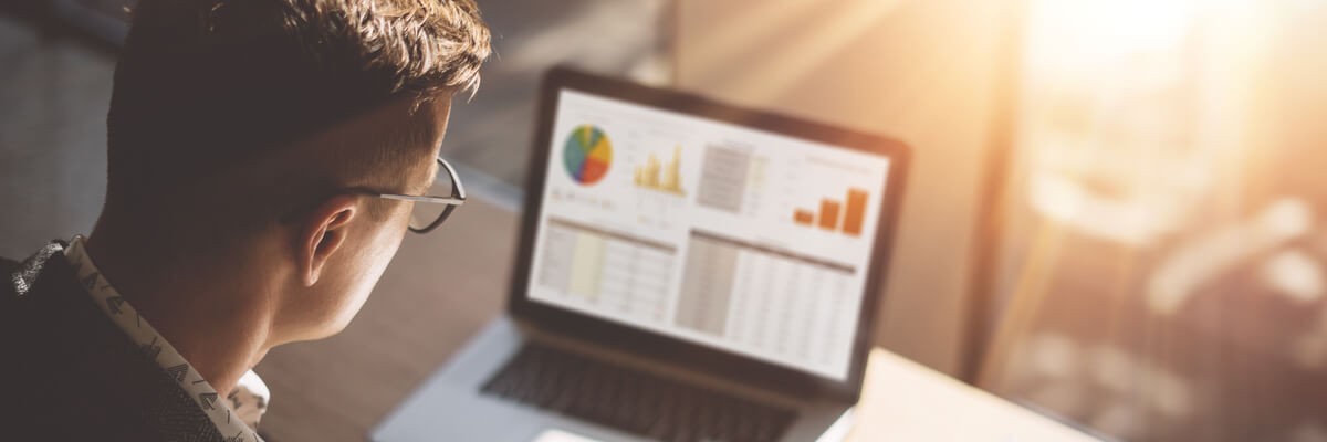 Man using laptop and looking at charts