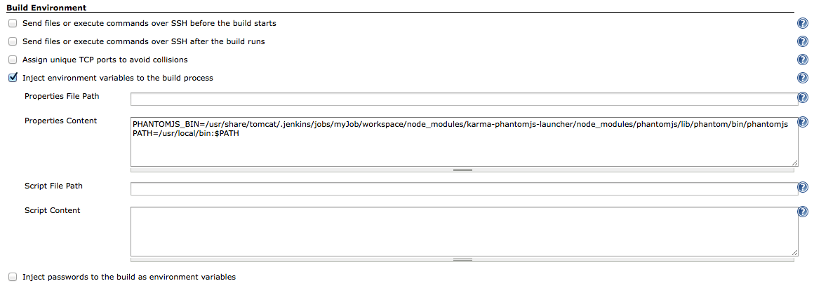 Injected environment variable section