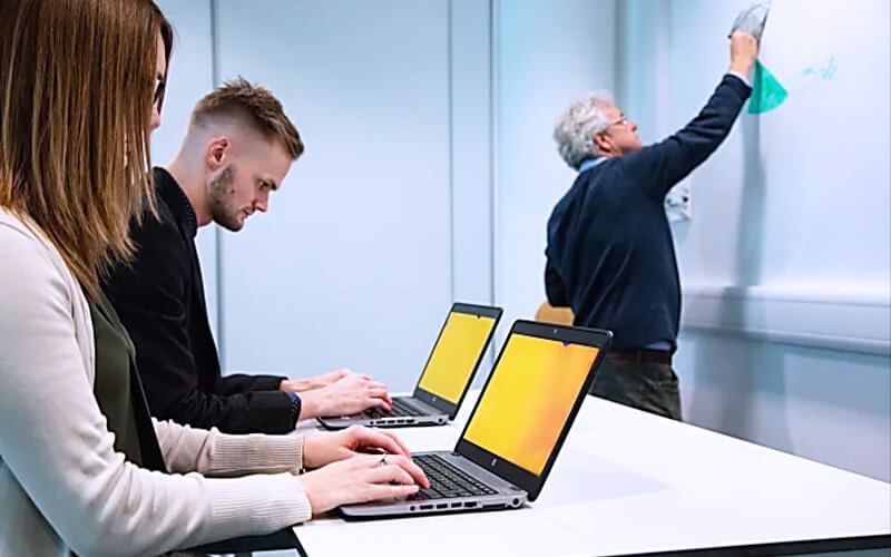 Teammates working together using a laptop with gold filters