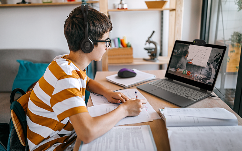 Young boy learning online